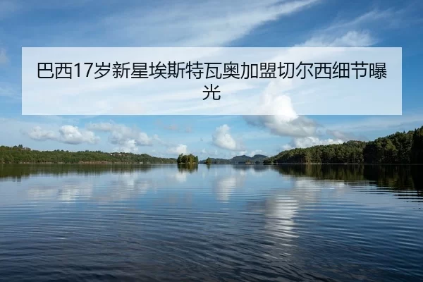 ba-xi-sui-xin-xing-ai-si-te-wa-ao-jia-meng-qie-er-xi-xi-jie-bao-guang-2-276.jpg